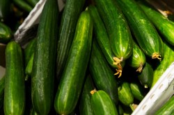 20230523195220_[fpdl.in]_fresh-long-cucumbers-box-store-close-up-vegetarianism-vitamins_120897-2834_large